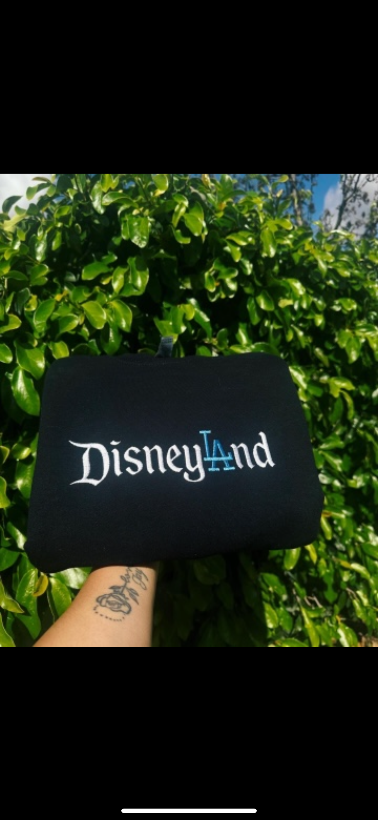 DisneyLAnd