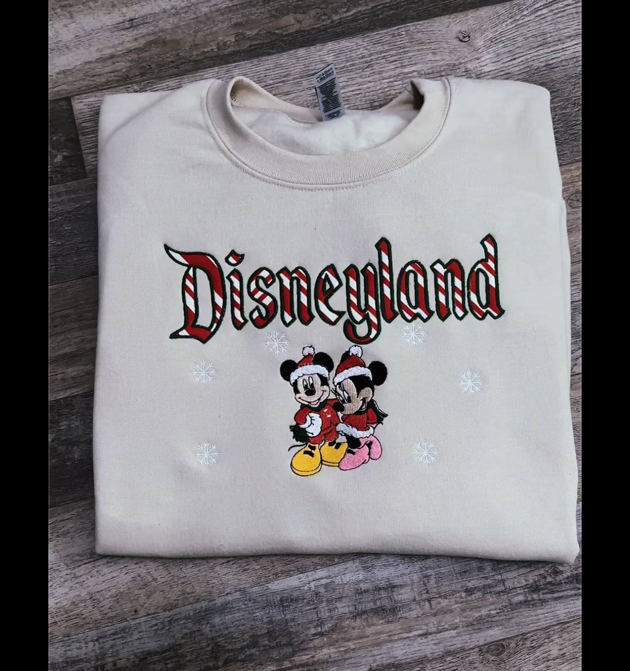 Disneyland appliqué